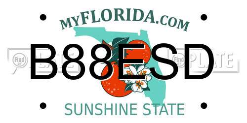 B88ESD Florida License Plate