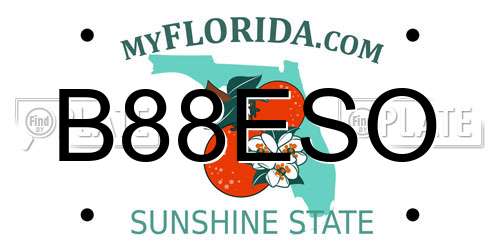 B88ESO Florida License Plate