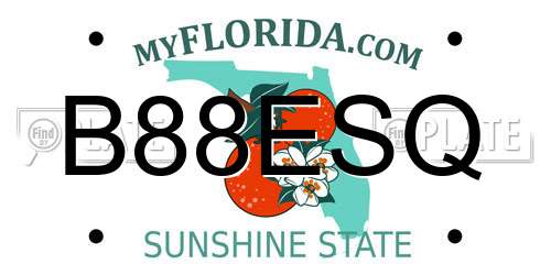 B88ESQ Florida License Plate