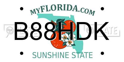 B88HDK Florida License Plate