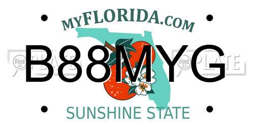 B88MYG Florida License Plate