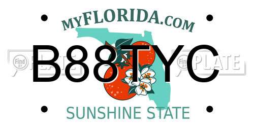 B88TYC Florida License Plate