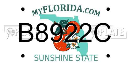 B8922C Florida License Plate