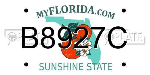 B8927C Florida License Plate