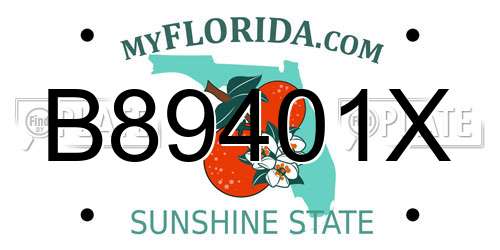 B89401X Florida License Plate