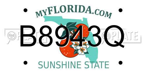 B8943Q Florida License Plate
