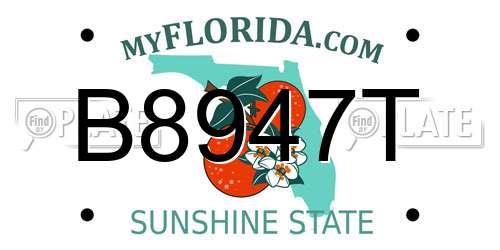 B8947T Florida License Plate