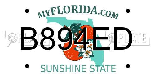 B894ED Florida License Plate