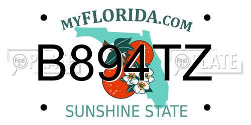 B894TZ Florida License Plate