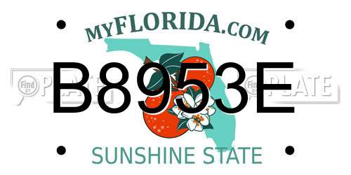 B8953E Florida License Plate