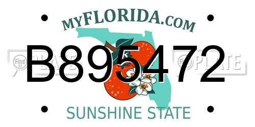 B895472 Florida License Plate