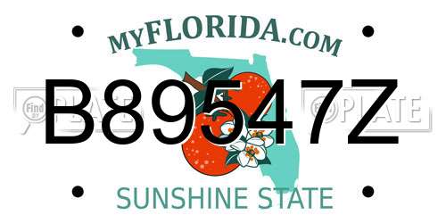 B89547Z Florida License Plate