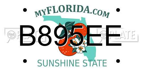 B895EE Florida License Plate