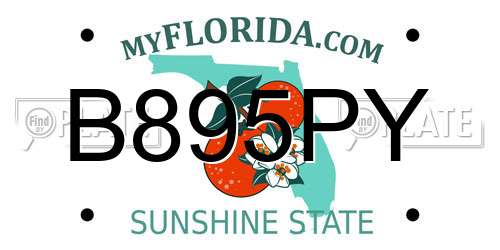 B895PY Florida License Plate