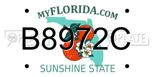 B8972C Florida License Plate
