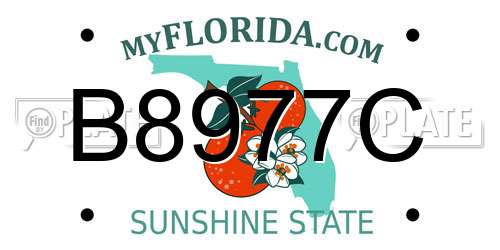 B8977C Florida License Plate