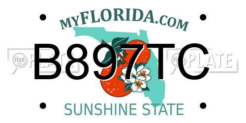 B897TC Florida License Plate