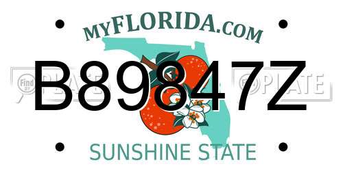 B89847Z Florida License Plate