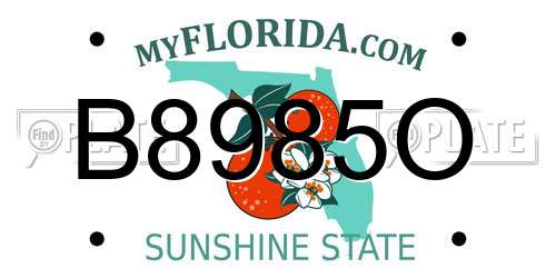 B8985O Florida License Plate