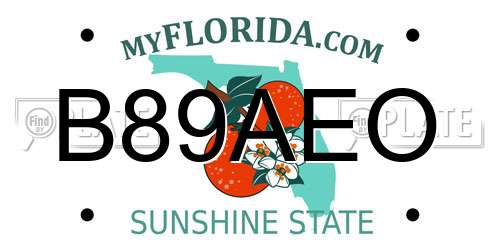 B89AEO Florida License Plate
