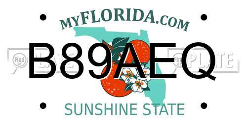 B89AEQ Florida License Plate