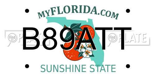 B89ATT Florida License Plate
