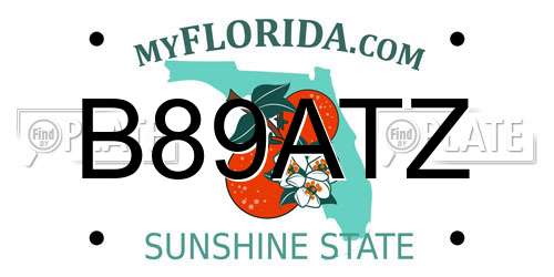 B89ATZ Florida License Plate