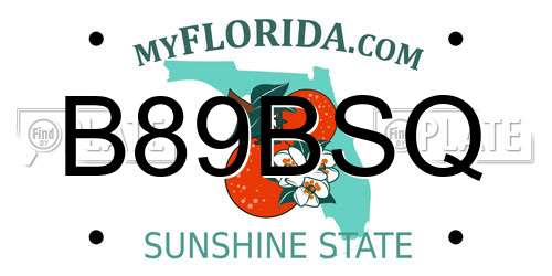 B89BSQ Florida License Plate