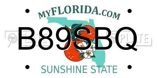 B89SBQ Florida License Plate