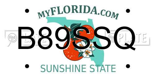 B89SSQ Florida License Plate