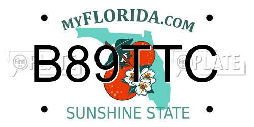 B89TTC Florida License Plate