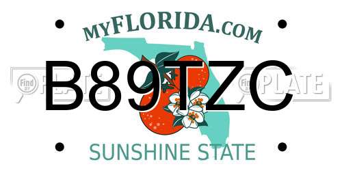 B89TZC Florida License Plate