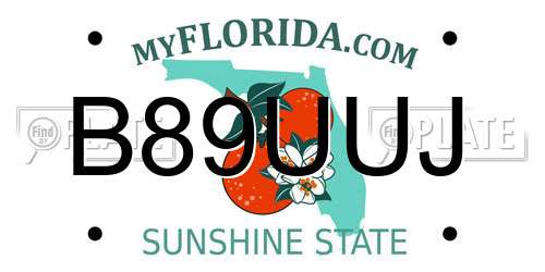 B89UUJ Florida License Plate