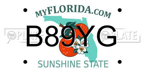 B89YG Florida License Plate