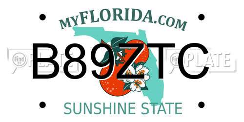 B89ZTC Florida License Plate