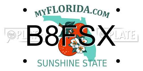 B8FSX Florida License Plate
