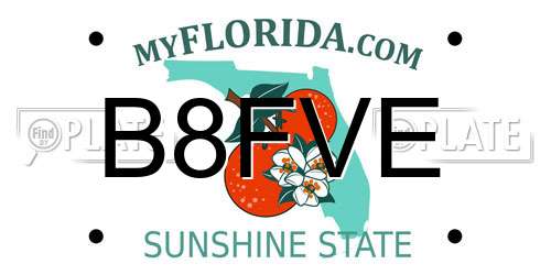 B8FVE Florida License Plate
