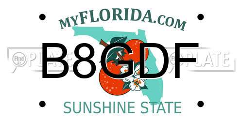 B8GDF Florida License Plate