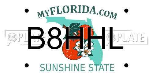B8HHL Florida License Plate
