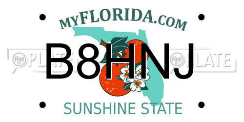B8HNJ Florida License Plate