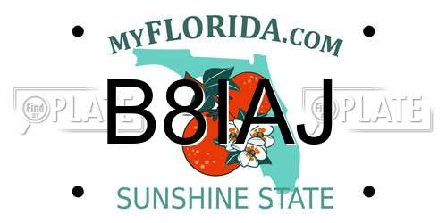 B8IAJ Florida License Plate
