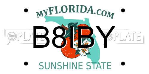 B8IBY Florida License Plate