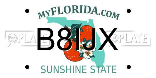B8IJX Florida License Plate