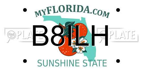 B8ILH Florida License Plate
