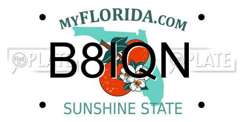B8IQN Florida License Plate
