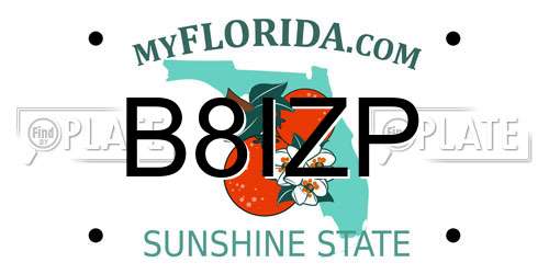 B8IZP Florida License Plate