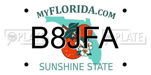 B8JFA Florida License Plate