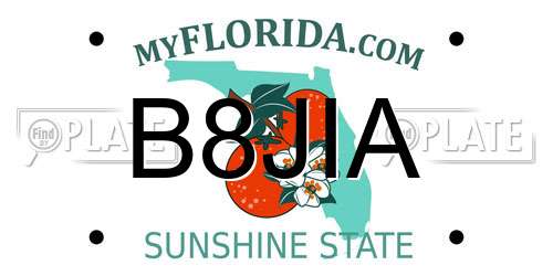 B8JIA Florida License Plate