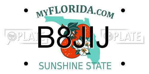 B8JIJ Florida License Plate