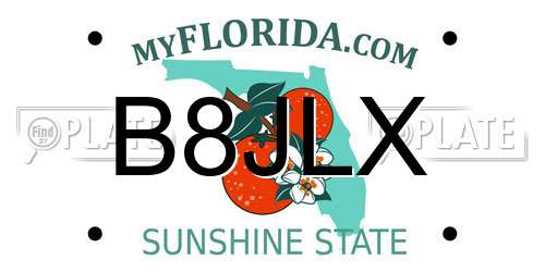 B8JLX Florida License Plate